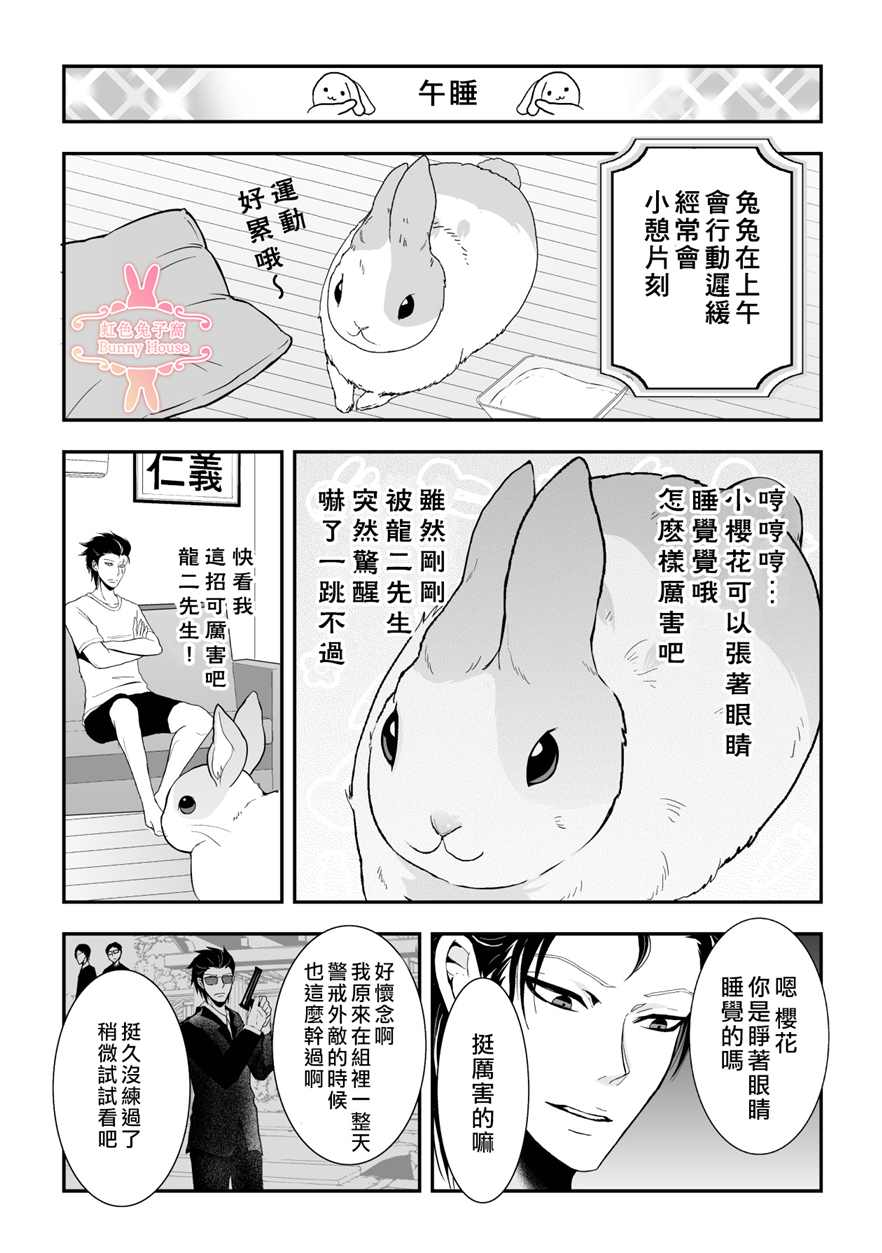 《极道兔兔》漫画最新章节第9话免费下拉式在线观看章节第【7】张图片