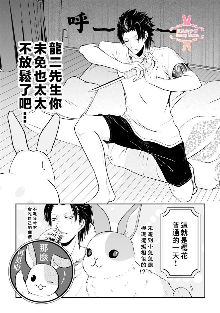 《极道兔兔》漫画最新章节第9话免费下拉式在线观看章节第【15】张图片