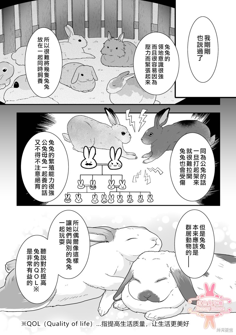 《极道兔兔》漫画最新章节第14话免费下拉式在线观看章节第【13】张图片