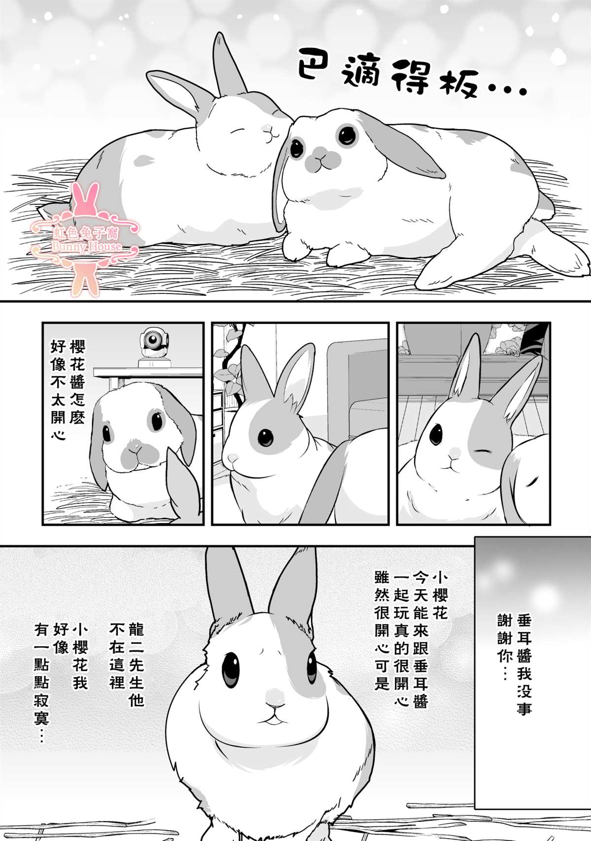 《极道兔兔》漫画最新章节第22话免费下拉式在线观看章节第【14】张图片