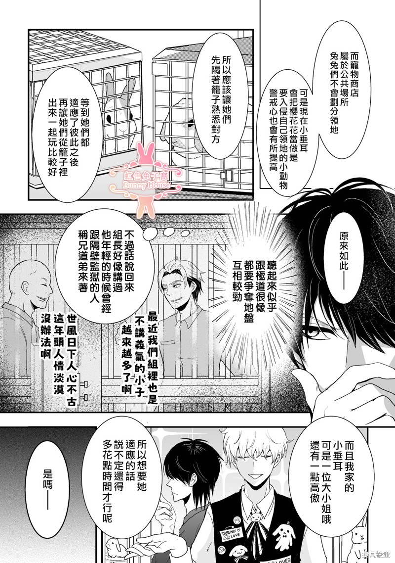 《极道兔兔》漫画最新章节第14话免费下拉式在线观看章节第【6】张图片