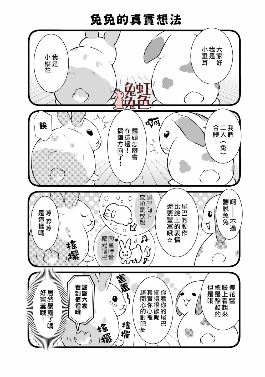 《极道兔兔》漫画最新章节番外免费下拉式在线观看章节第【1】张图片