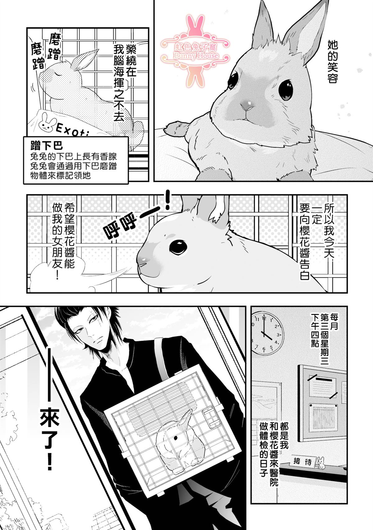 《极道兔兔》漫画最新章节第18话免费下拉式在线观看章节第【8】张图片