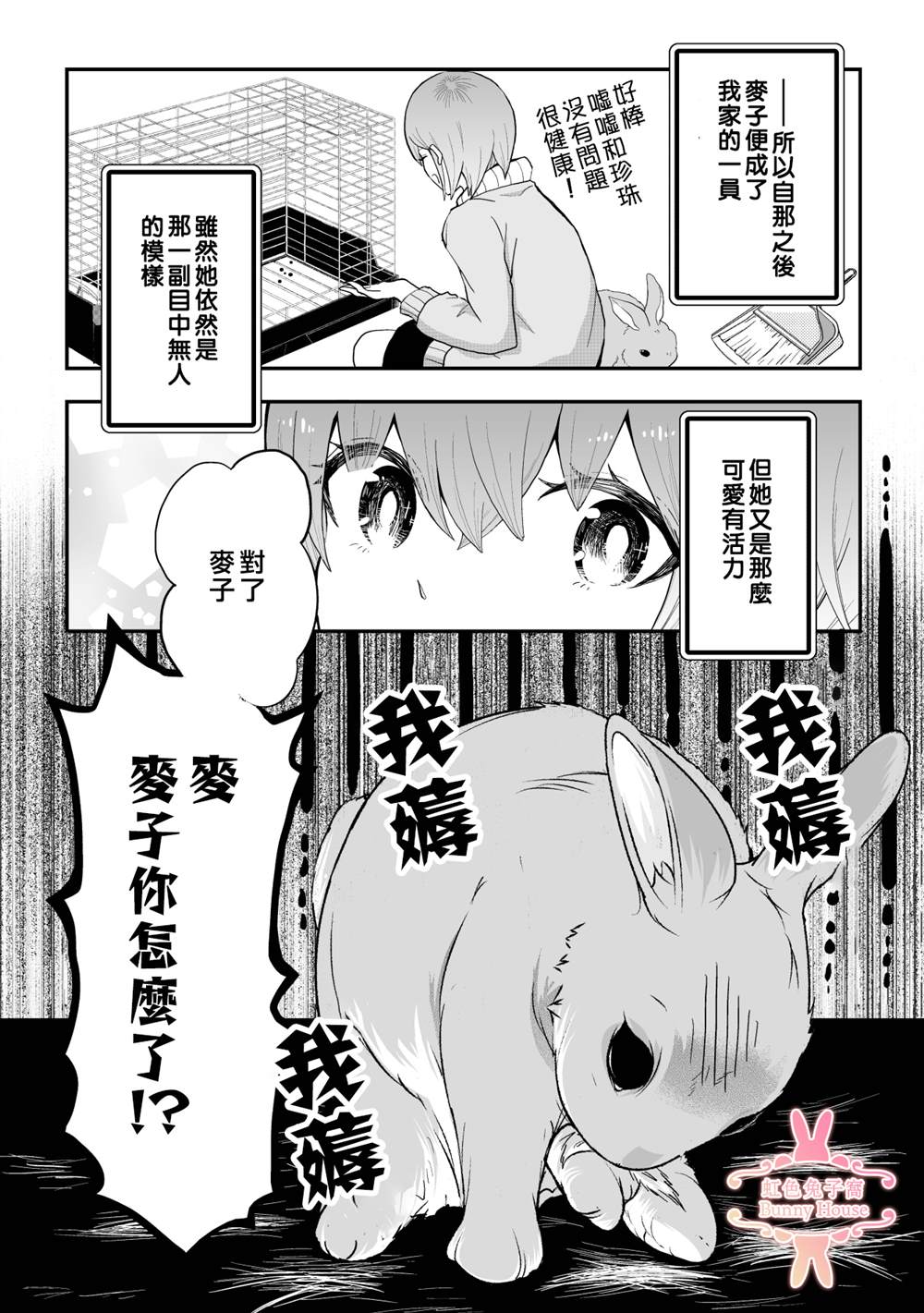 《极道兔兔》漫画最新章节第23话免费下拉式在线观看章节第【5】张图片