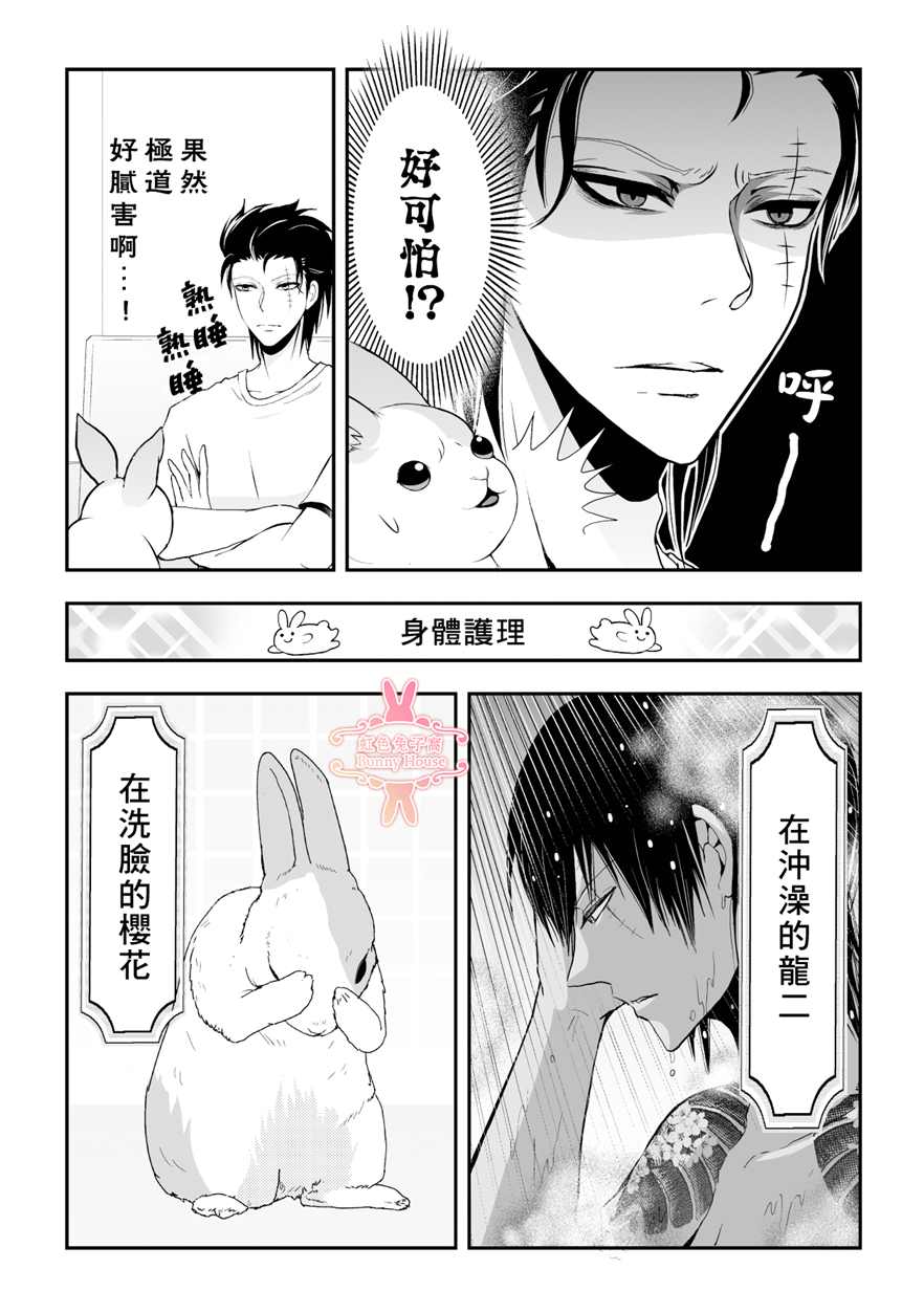 《极道兔兔》漫画最新章节第9话免费下拉式在线观看章节第【8】张图片