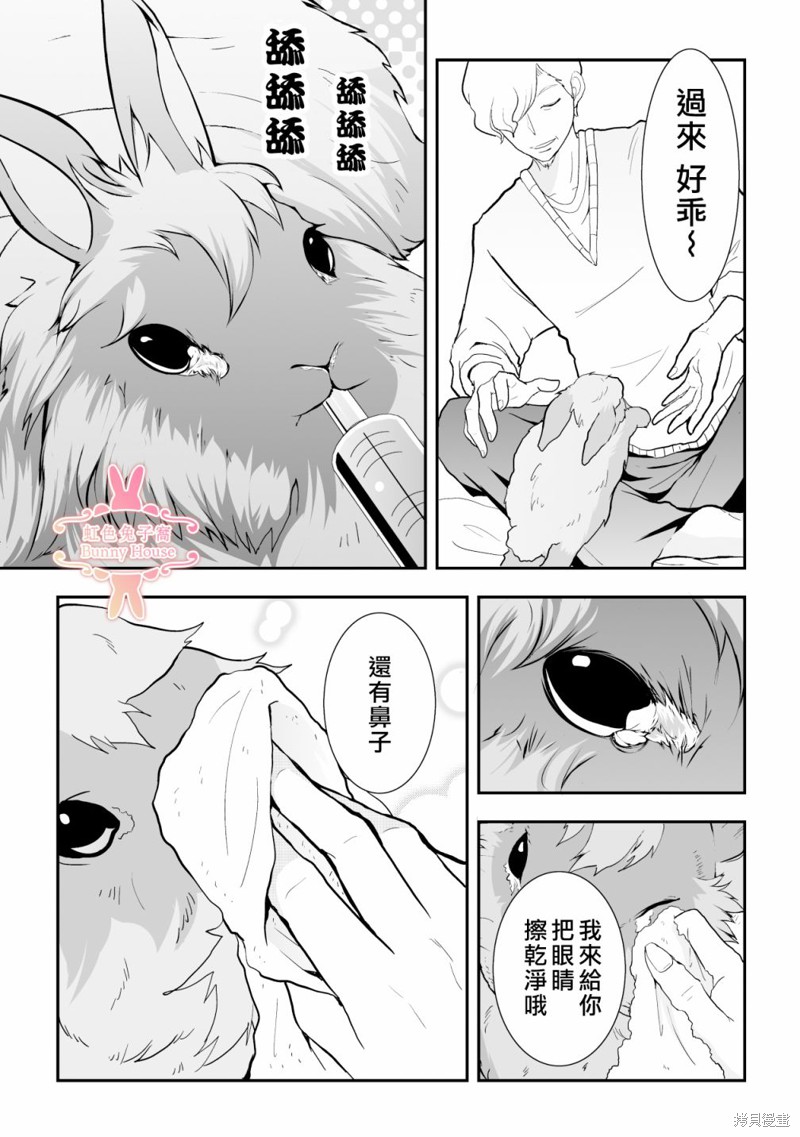 《极道兔兔》漫画最新章节第10话免费下拉式在线观看章节第【6】张图片