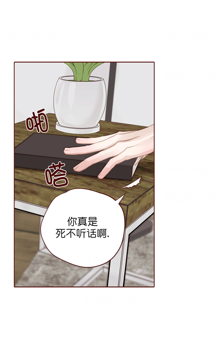 《青春流逝》漫画最新章节第123话免费下拉式在线观看章节第【7】张图片