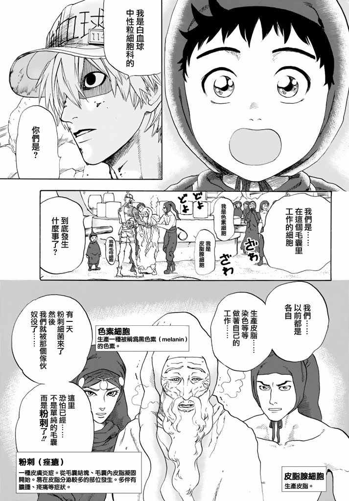 《工作细胞》漫画最新章节第14话 粉刺免费下拉式在线观看章节第【5】张图片