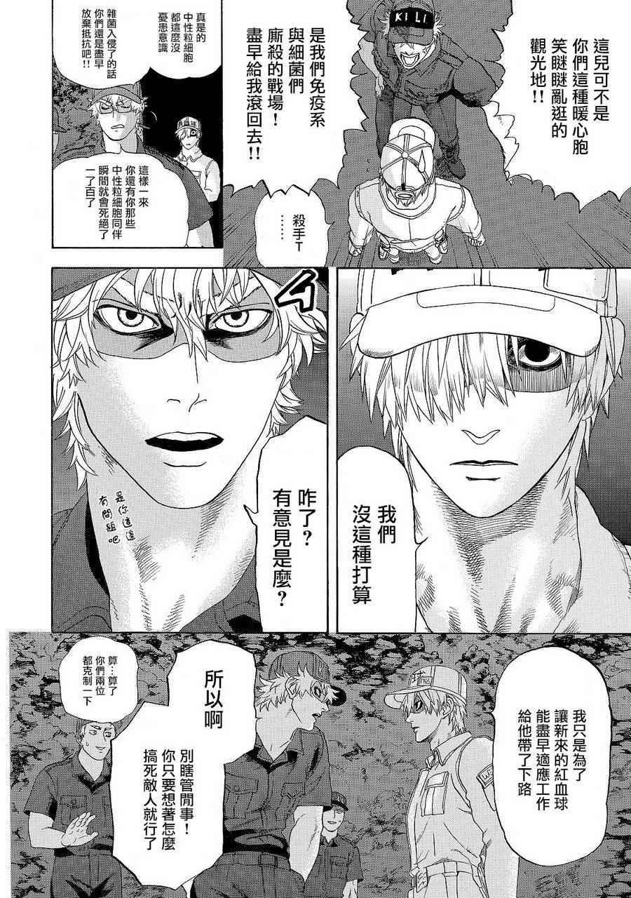 《工作细胞》漫画最新章节第19话 派伊尔淋巴结免费下拉式在线观看章节第【4】张图片