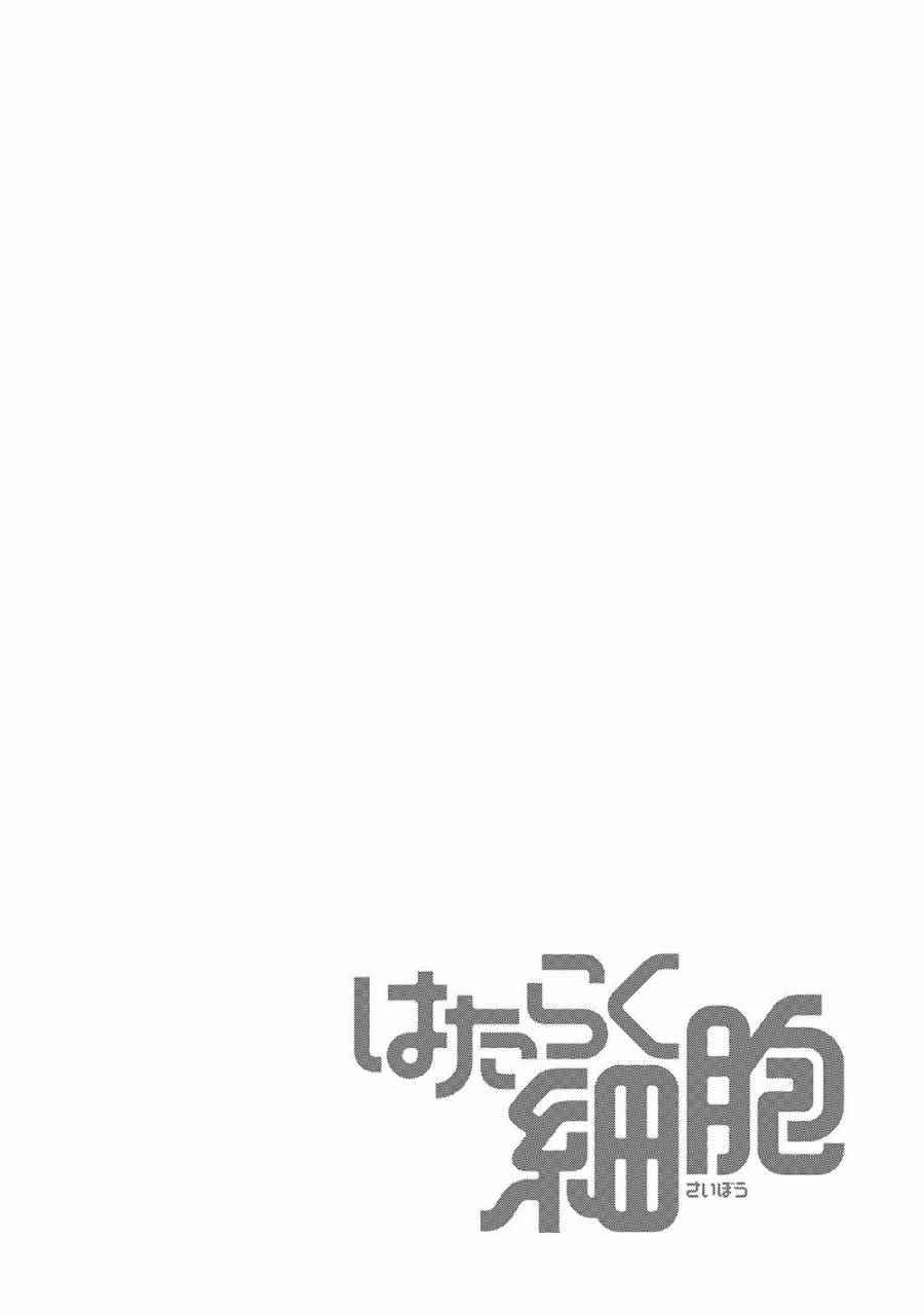 《工作细胞》漫画最新章节第18话 出血性休克（后篇）免费下拉式在线观看章节第【34】张图片