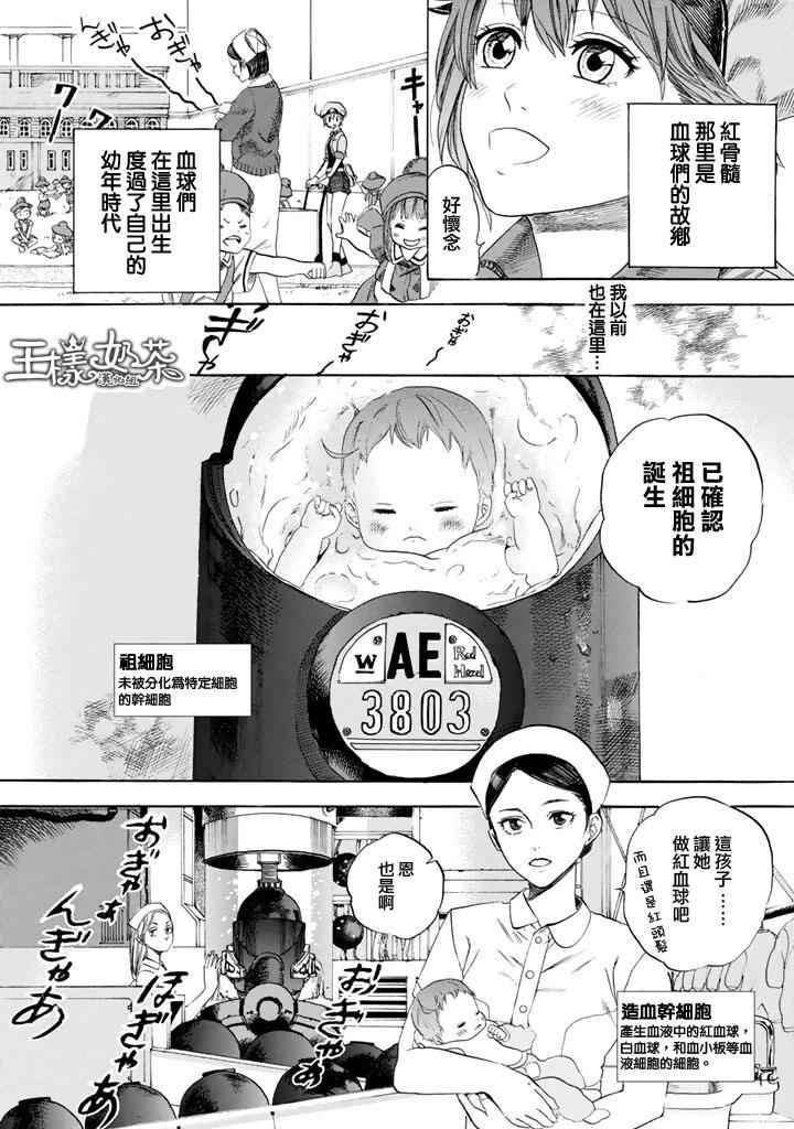 《工作细胞》漫画最新章节第7话 有核红细胞和骨髓细胞免费下拉式在线观看章节第【3】张图片