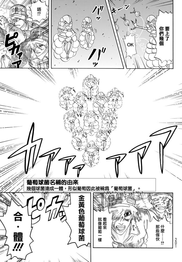 《工作细胞》漫画最新章节第15话 金黄色的的葡萄球菌免费下拉式在线观看章节第【13】张图片