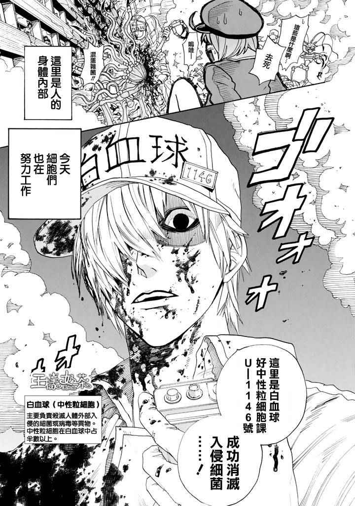 《工作细胞》漫画最新章节第1话 肺炎链球菌免费下拉式在线观看章节第【8】张图片