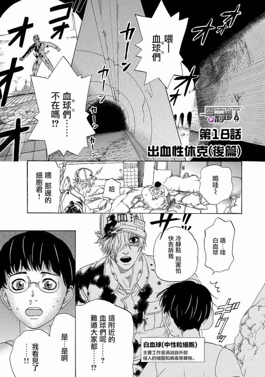 《工作细胞》漫画最新章节第18话 出血性休克（后篇）免费下拉式在线观看章节第【1】张图片