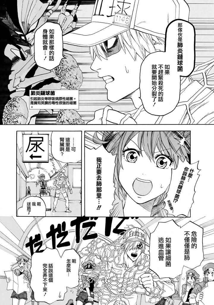 《工作细胞》漫画最新章节第1话 肺炎链球菌免费下拉式在线观看章节第【17】张图片