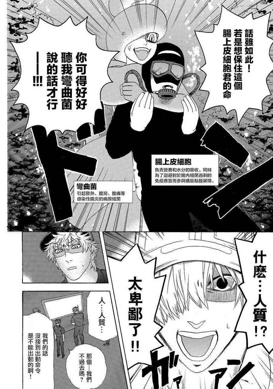 《工作细胞》漫画最新章节第19话 派伊尔淋巴结免费下拉式在线观看章节第【8】张图片