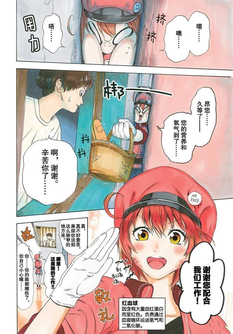 《工作细胞》漫画最新章节第26话 试看版免费下拉式在线观看章节第【2】张图片