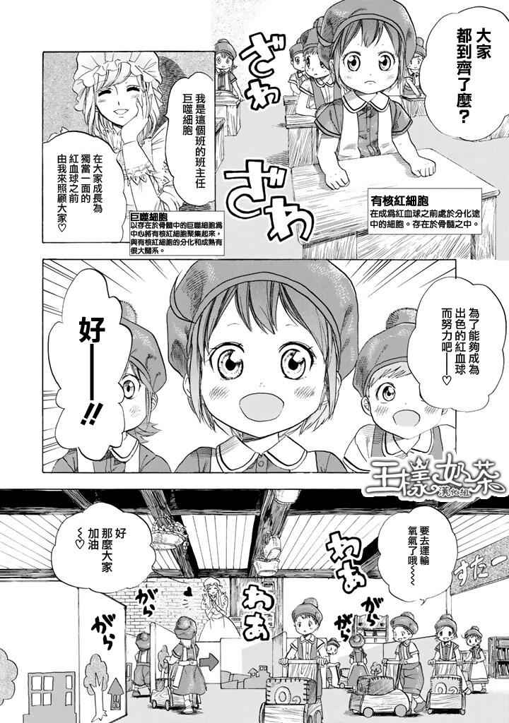 《工作细胞》漫画最新章节第7话 有核红细胞和骨髓细胞免费下拉式在线观看章节第【5】张图片