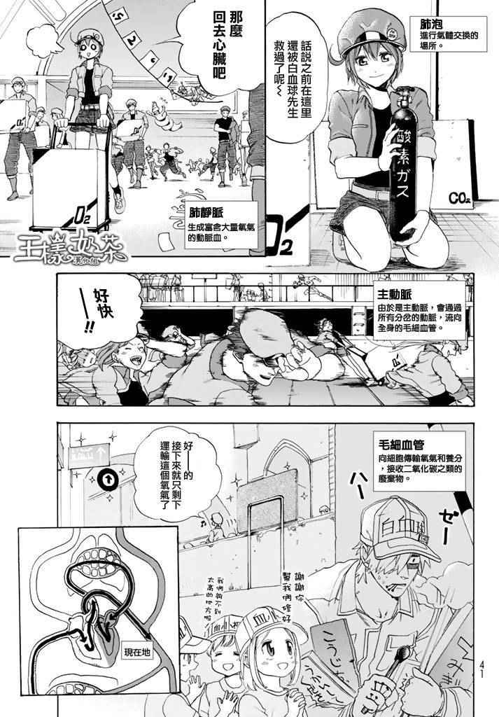 《工作细胞》漫画最新章节第10话 血液循环免费下拉式在线观看章节第【15】张图片