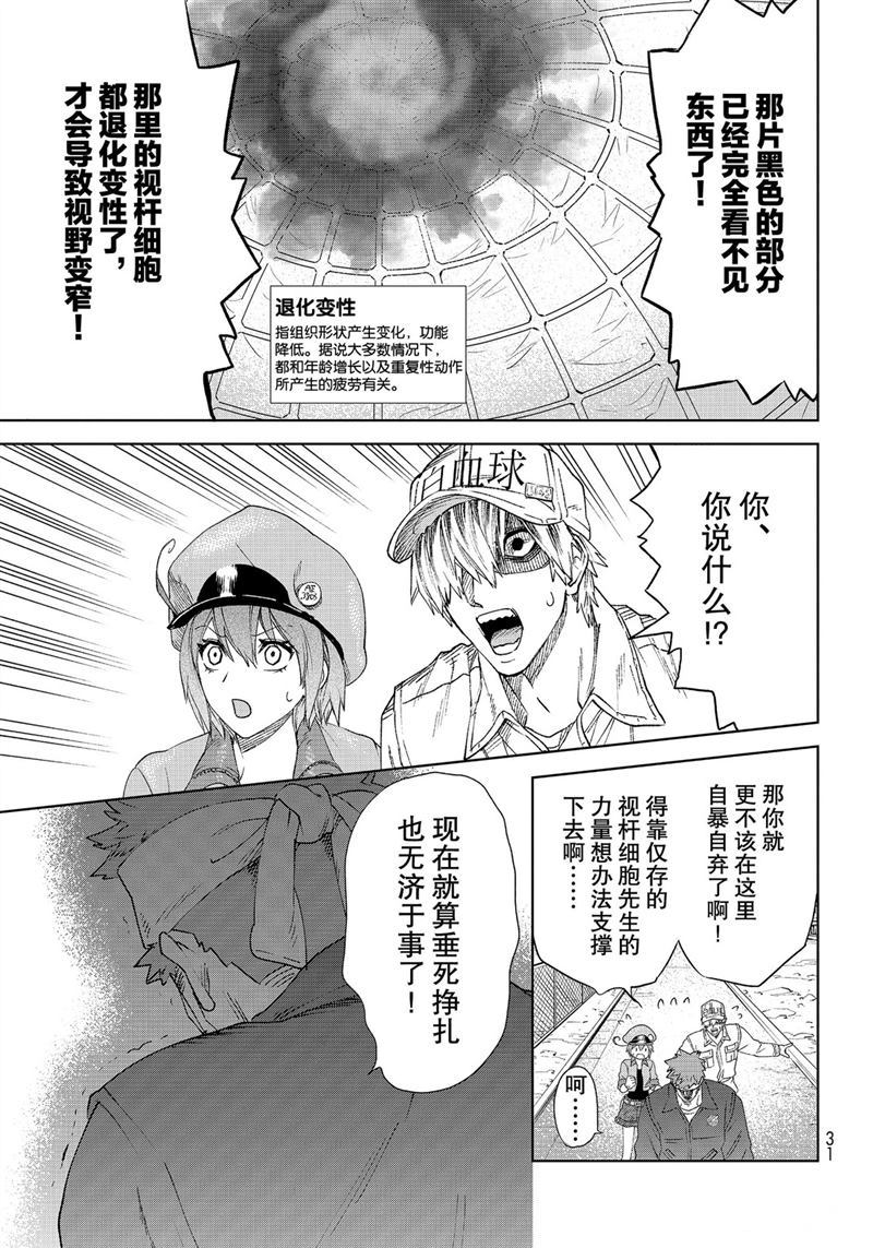 《工作细胞》漫画最新章节第28话 试看版免费下拉式在线观看章节第【12】张图片