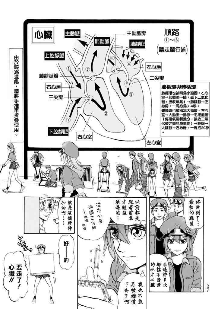 《工作细胞》漫画最新章节第10话 血液循环免费下拉式在线观看章节第【12】张图片