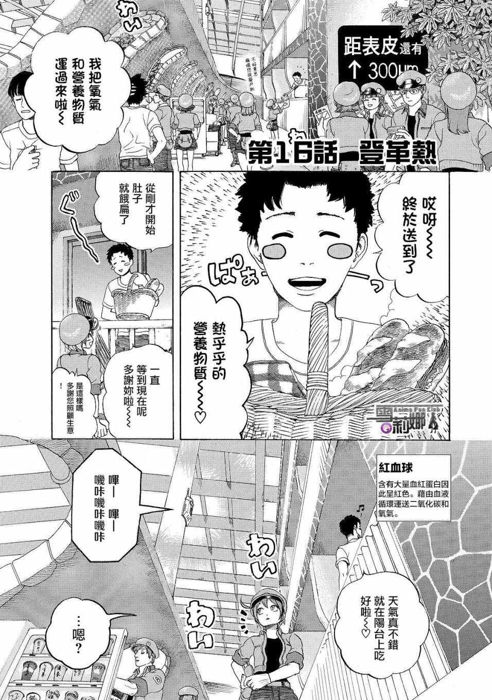 《工作细胞》漫画最新章节第16话 登.革.热免费下拉式在线观看章节第【1】张图片