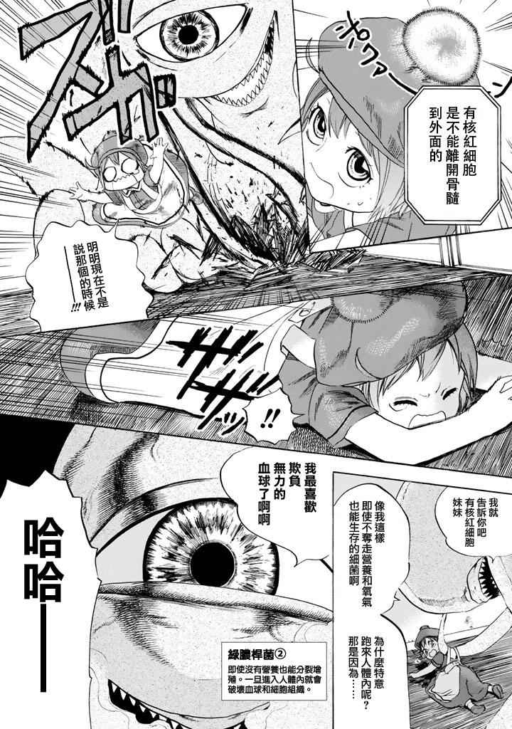 《工作细胞》漫画最新章节第7话 有核红细胞和骨髓细胞免费下拉式在线观看章节第【15】张图片