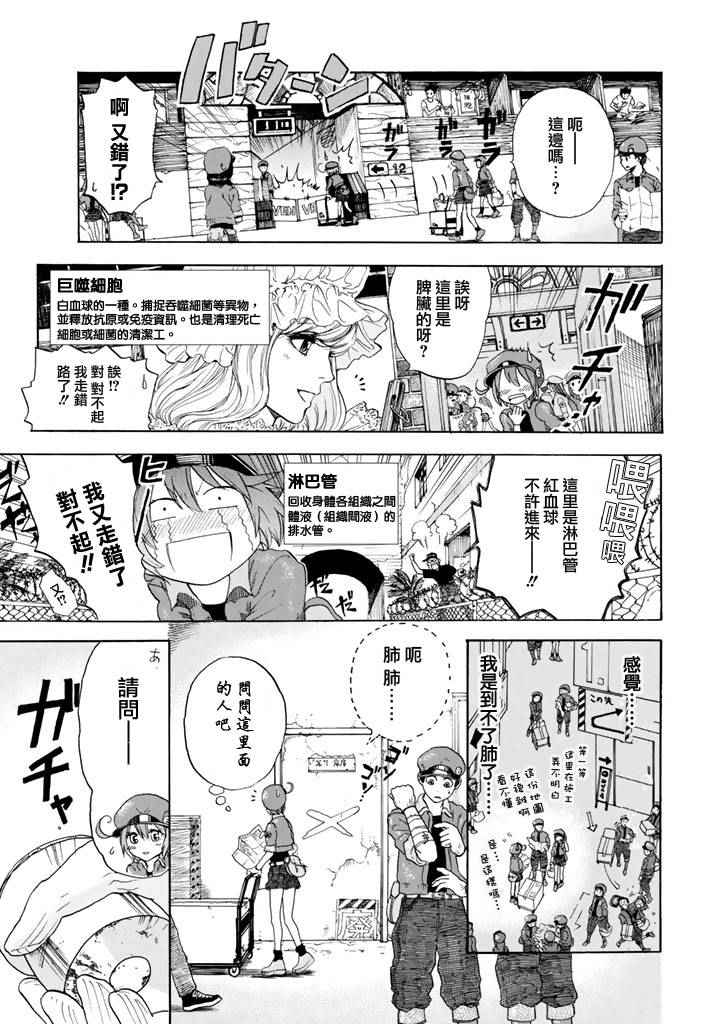 《工作细胞》漫画最新章节第1话 肺炎链球菌免费下拉式在线观看章节第【12】张图片