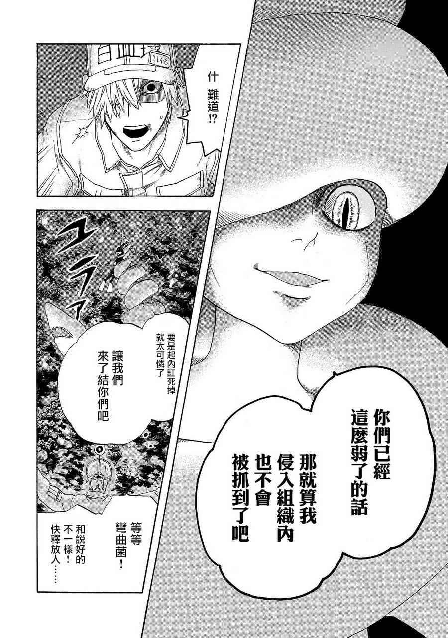 《工作细胞》漫画最新章节第19话 派伊尔淋巴结免费下拉式在线观看章节第【14】张图片