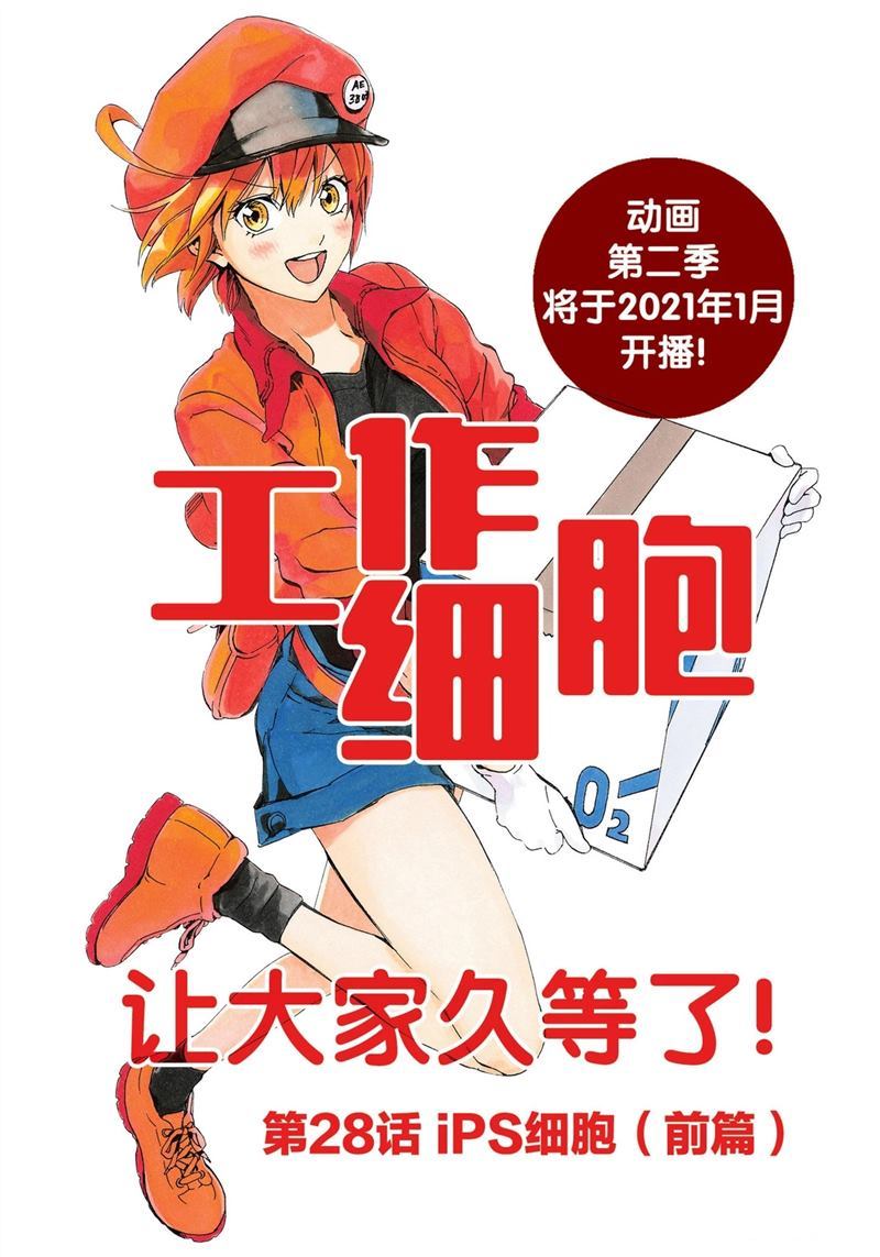 《工作细胞》漫画最新章节第28话 试看版免费下拉式在线观看章节第【1】张图片