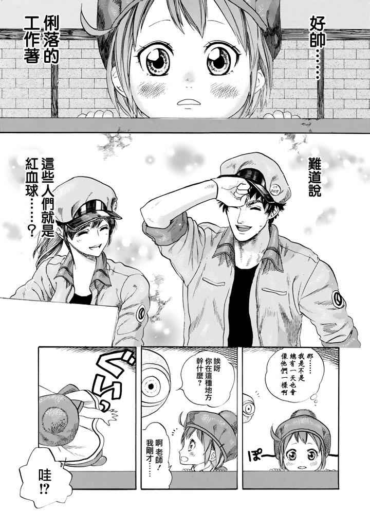 《工作细胞》漫画最新章节第7话 有核红细胞和骨髓细胞免费下拉式在线观看章节第【12】张图片