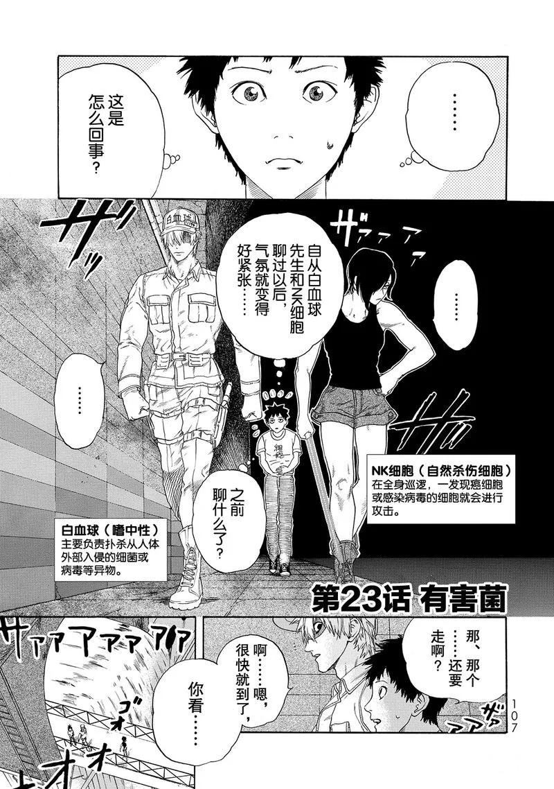 《工作细胞》漫画最新章节第23话免费下拉式在线观看章节第【1】张图片