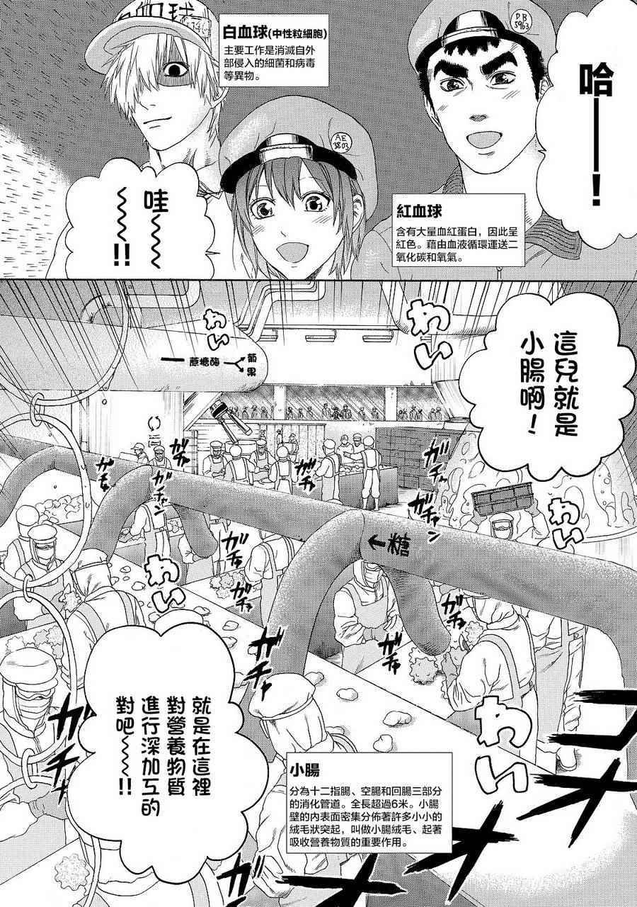 《工作细胞》漫画最新章节第19话 派伊尔淋巴结免费下拉式在线观看章节第【2】张图片