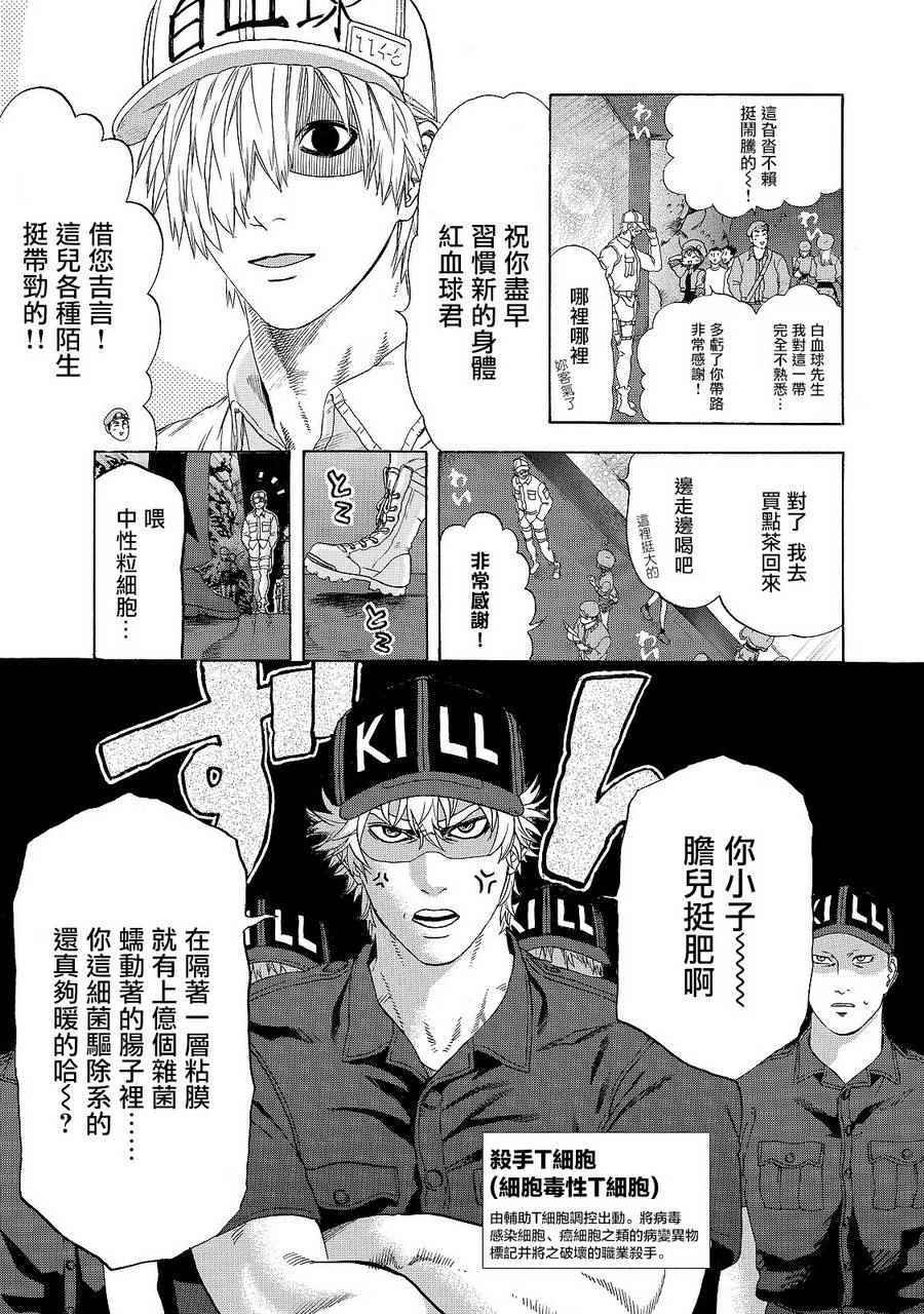 《工作细胞》漫画最新章节第19话 派伊尔淋巴结免费下拉式在线观看章节第【3】张图片