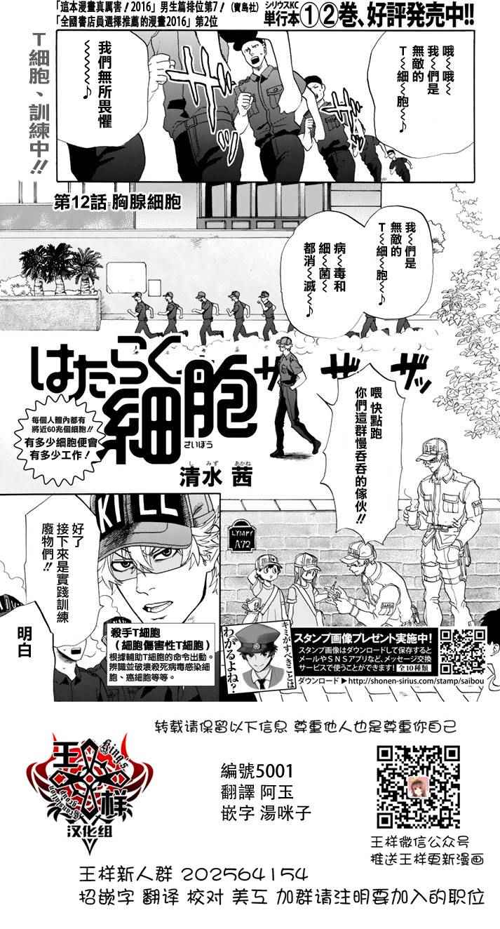 《工作细胞》漫画最新章节第12话 胸腺细胞免费下拉式在线观看章节第【1】张图片