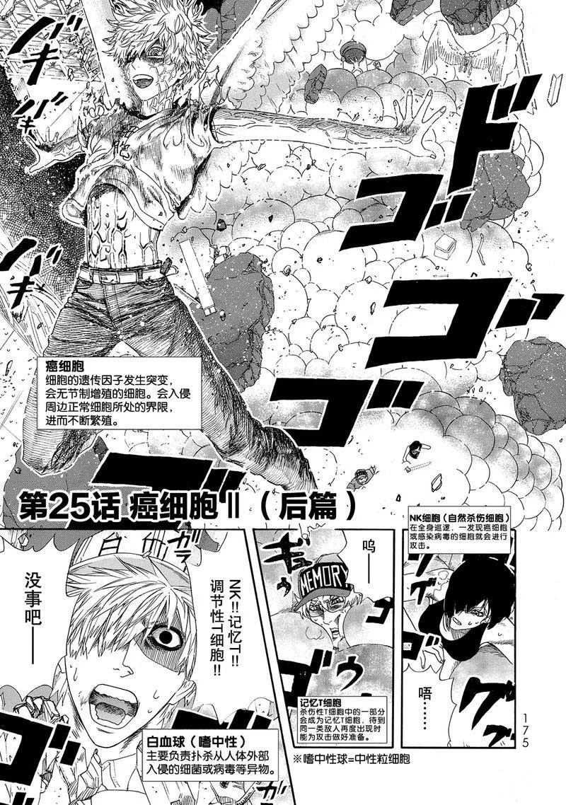 《工作细胞》漫画最新章节第25话 试看版免费下拉式在线观看章节第【1】张图片