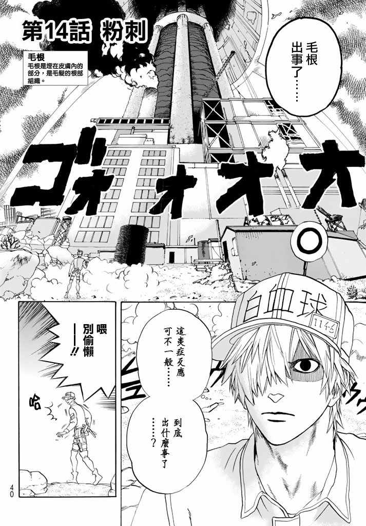 《工作细胞》漫画最新章节第14话 粉刺免费下拉式在线观看章节第【2】张图片