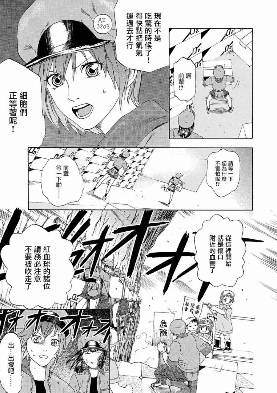 《工作细胞》漫画最新章节第18话 出血性休克（后篇）免费下拉式在线观看章节第【6】张图片