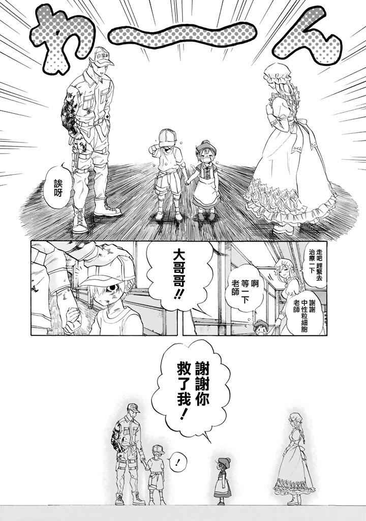 《工作细胞》漫画最新章节第7话 有核红细胞和骨髓细胞免费下拉式在线观看章节第【25】张图片