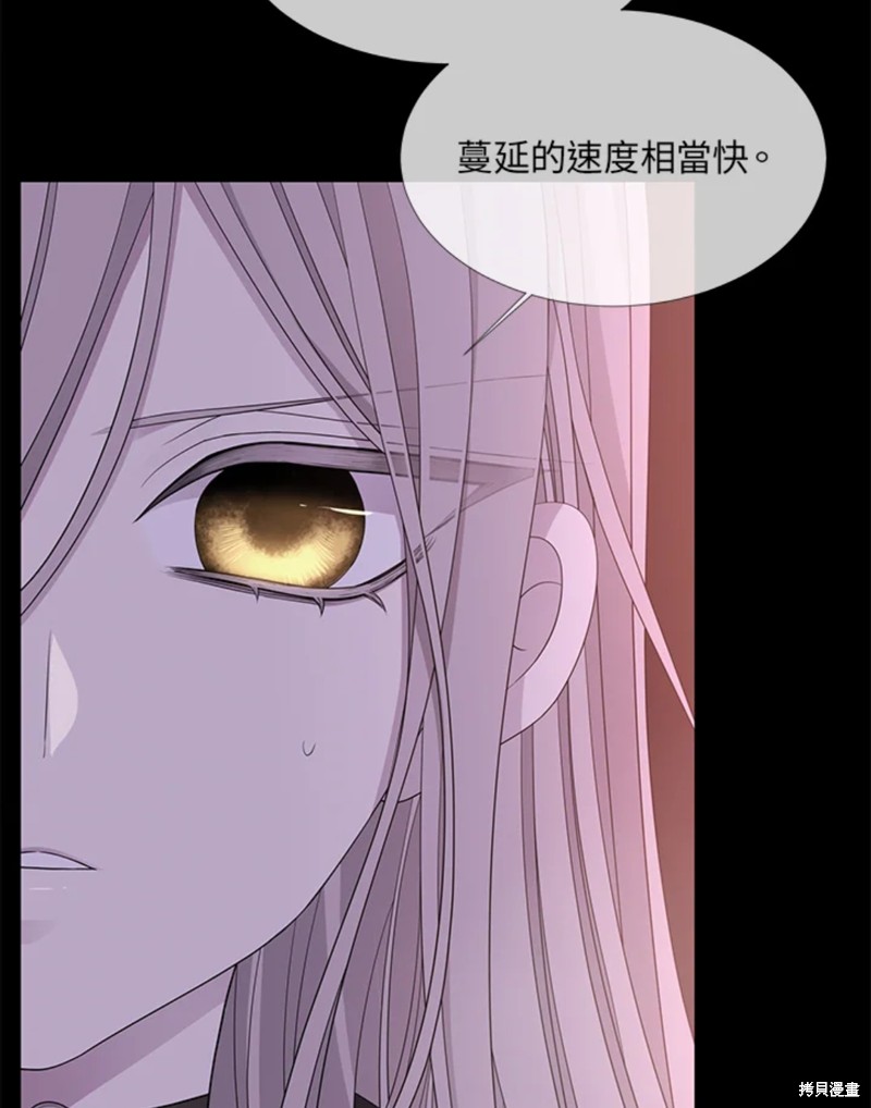 《夏洛特的五个徒弟》漫画最新章节第106话免费下拉式在线观看章节第【41】张图片