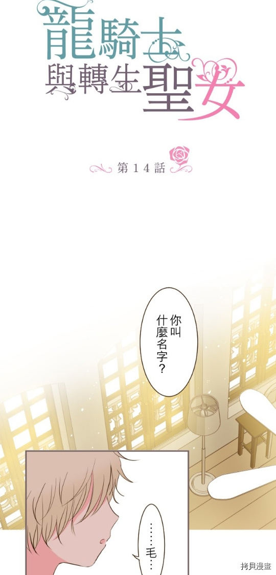 《龙骑士与转生圣女》漫画最新章节第14话免费下拉式在线观看章节第【2】张图片