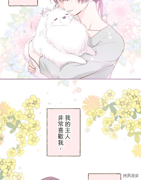 《龙骑士与转生圣女》漫画最新章节第11话免费下拉式在线观看章节第【25】张图片