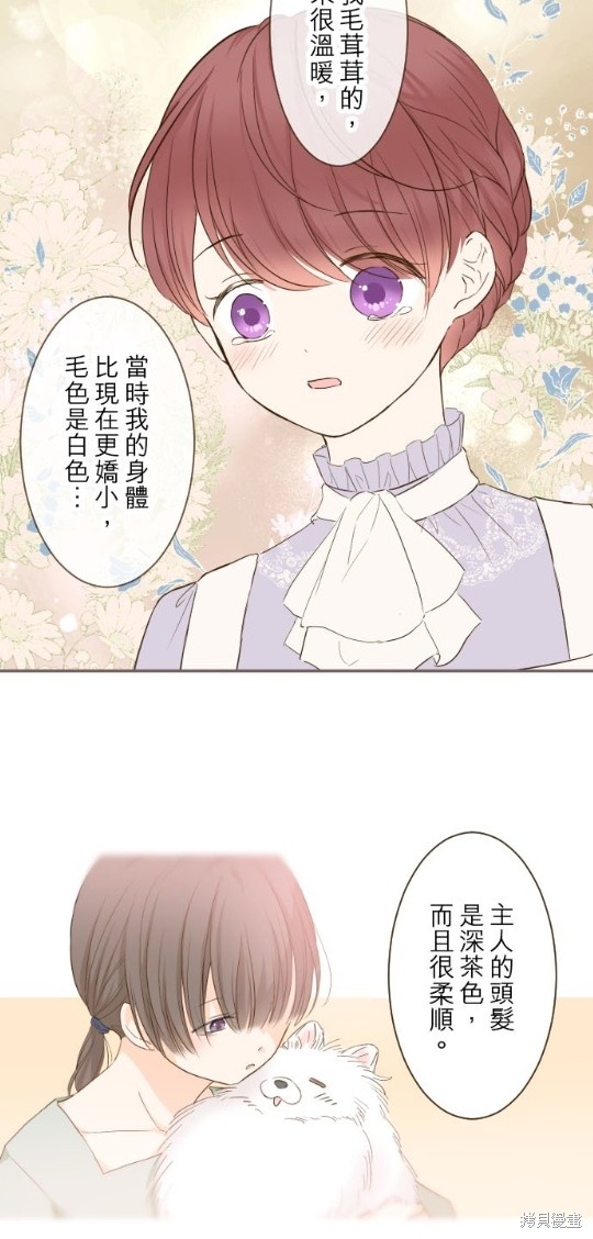 《龙骑士与转生圣女》漫画最新章节第66话免费下拉式在线观看章节第【5】张图片