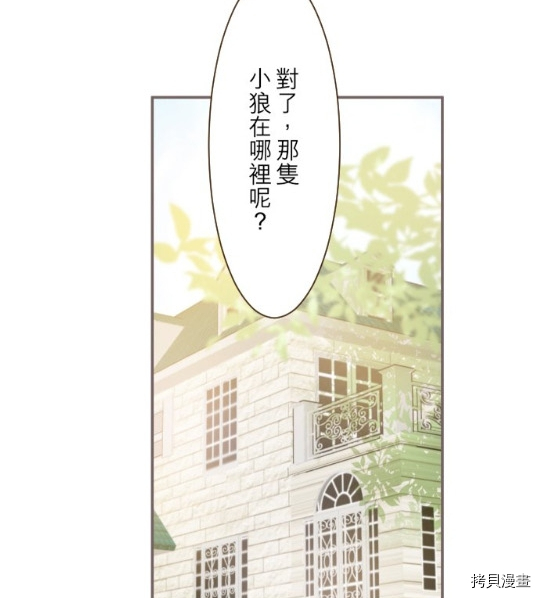 《龙骑士与转生圣女》漫画最新章节第11话免费下拉式在线观看章节第【14】张图片