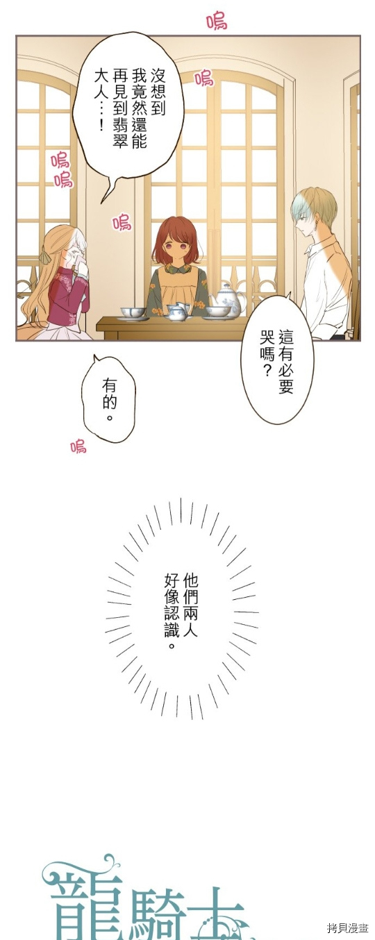 《龙骑士与转生圣女》漫画最新章节第19话免费下拉式在线观看章节第【2】张图片