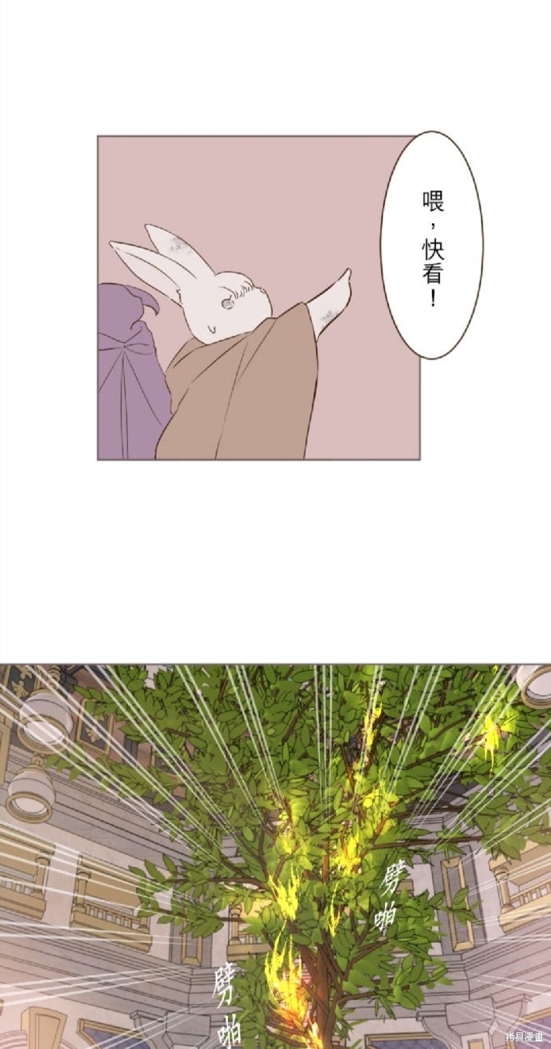 《龙骑士与转生圣女》漫画最新章节第61话免费下拉式在线观看章节第【3】张图片