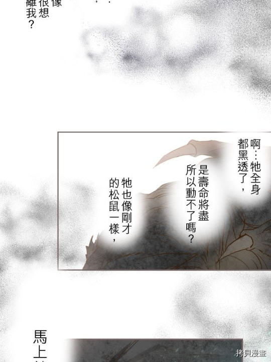 《龙骑士与转生圣女》漫画最新章节第2话免费下拉式在线观看章节第【53】张图片