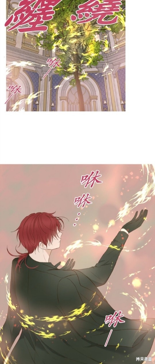 《龙骑士与转生圣女》漫画最新章节第62话免费下拉式在线观看章节第【3】张图片