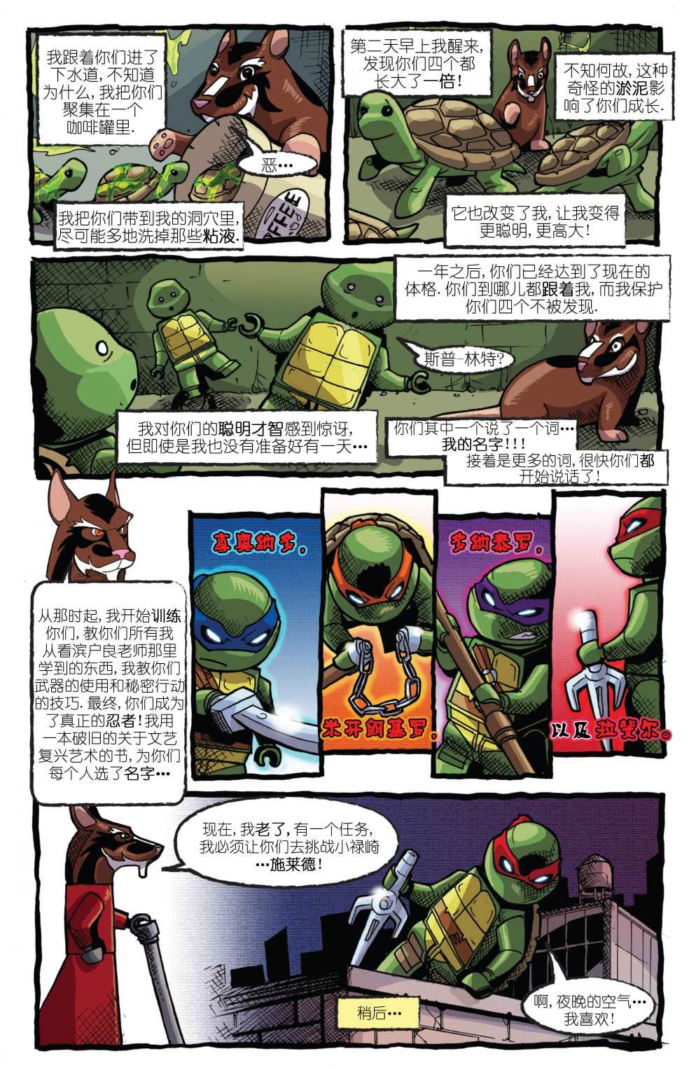 《忍者神龟：乐高玩具特刊》漫画最新章节第1话免费下拉式在线观看章节第【12】张图片