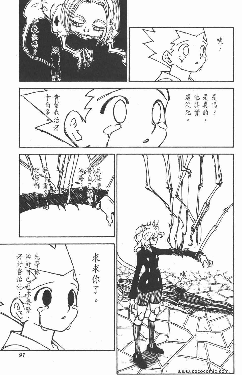 《全职猎人》漫画最新章节第29卷免费下拉式在线观看章节第【89】张图片